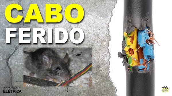 Verifique sempre os cabos antes da finalizar a instalação.