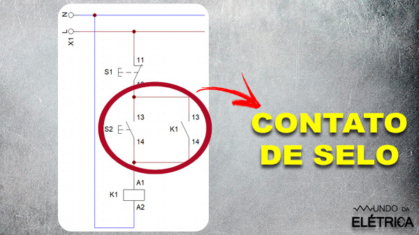 Contato de Selo: Veja como fazer!